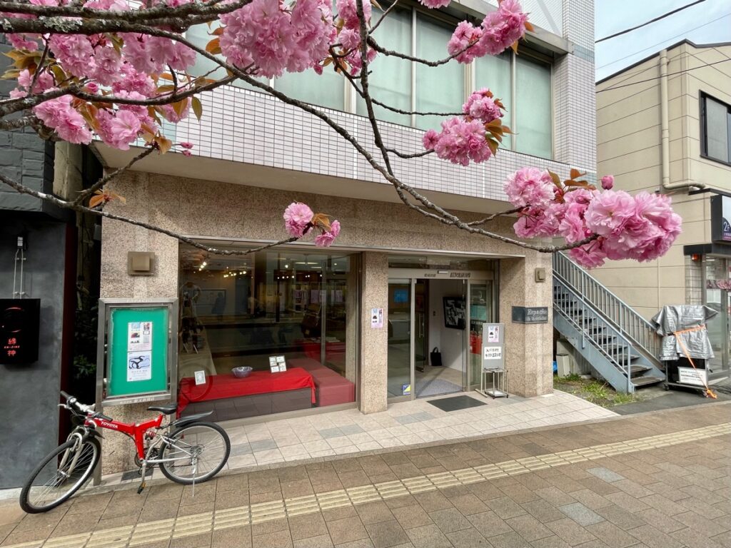 桜もお出迎え