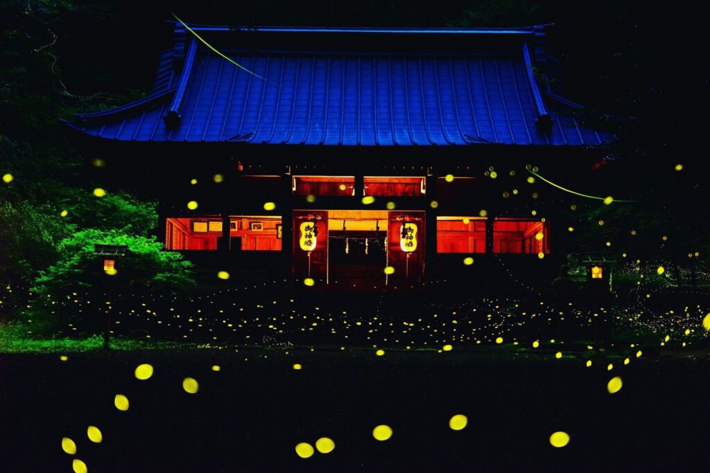 御殿場ヒメボタルの会