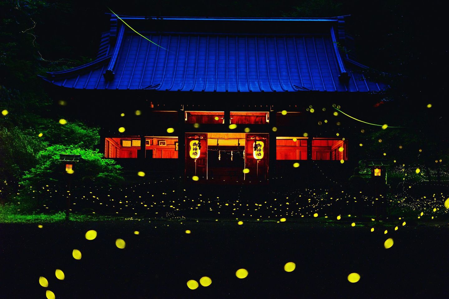 御殿場ヒメボタルの会